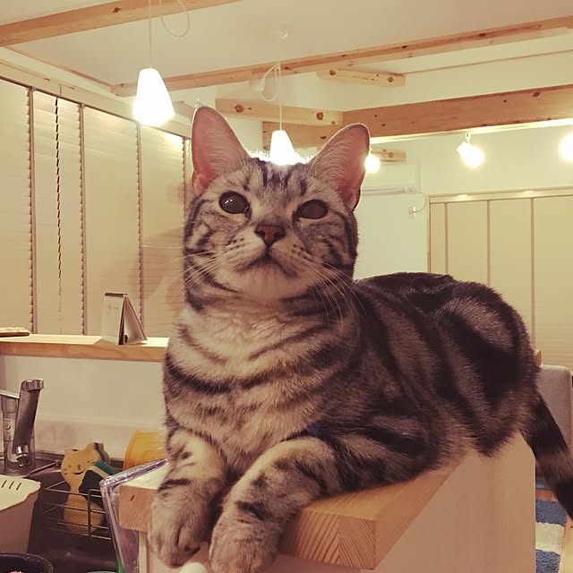 Hirahiraさんの実例写真