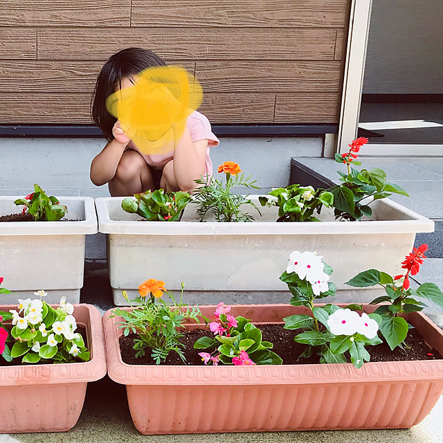 373springさんの実例写真