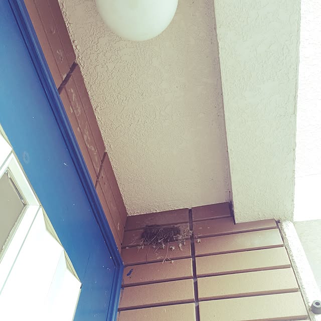 urucotoさんの実例写真
