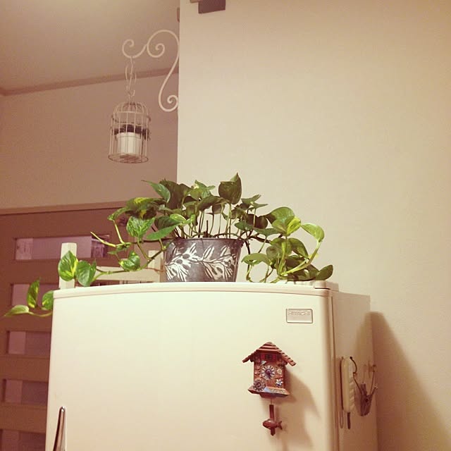 yu_kiさんの実例写真