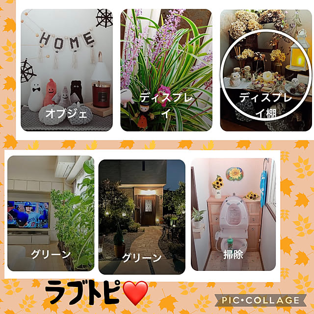 CoCo0617さんの実例写真