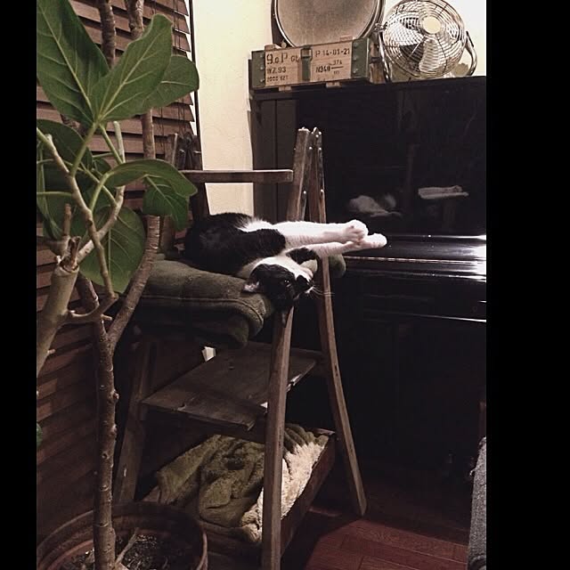 jnkaiさんの実例写真