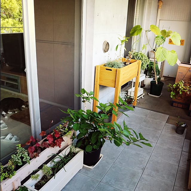 hanacocoさんの部屋