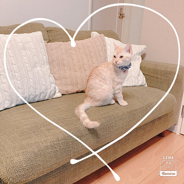 m.k.mさんの実例写真