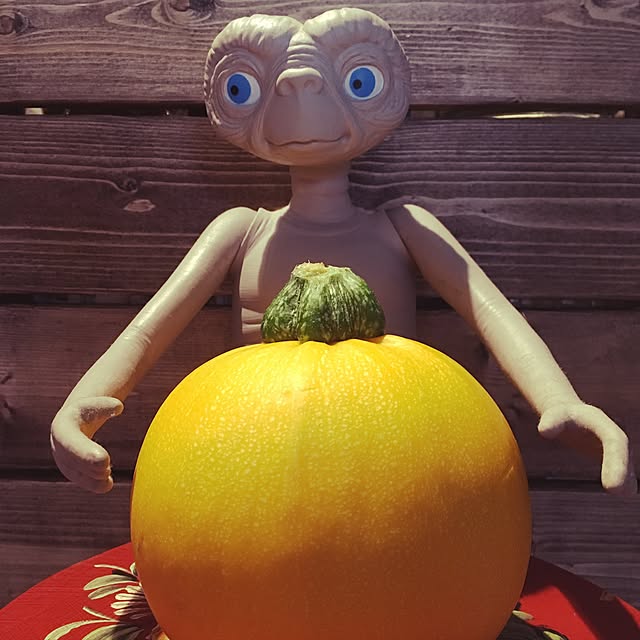 tsukushinboさんの実例写真