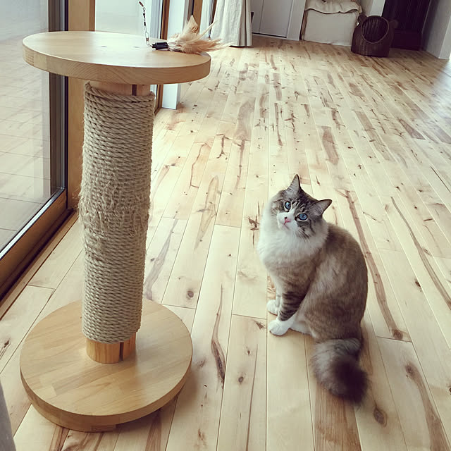 masyacanonさんの実例写真