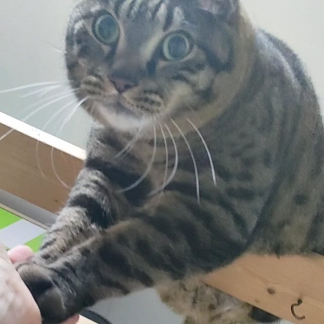 mori_6_12さんの部屋