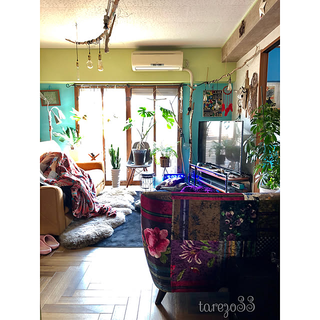 tarezo33さんの実例写真