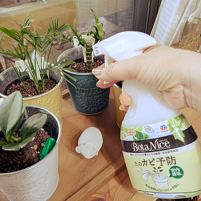 kazuさんの実例写真