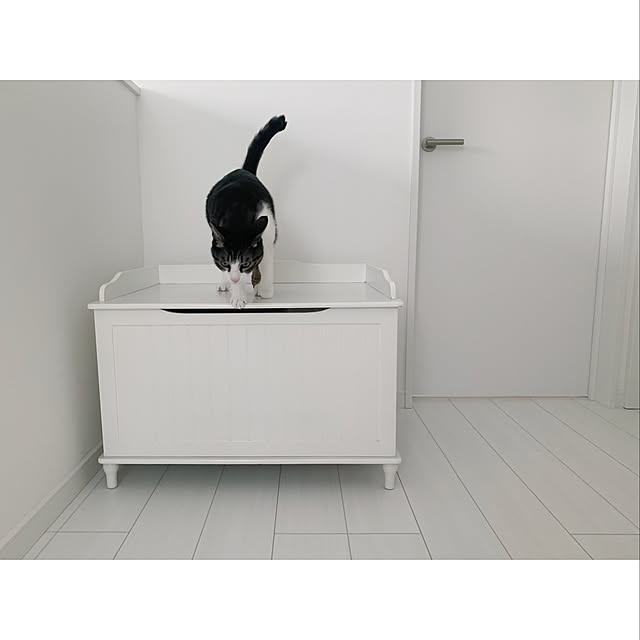 aさんの実例写真