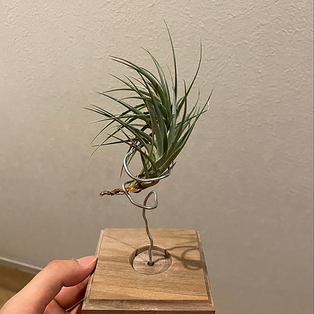 Akiy15さんの部屋