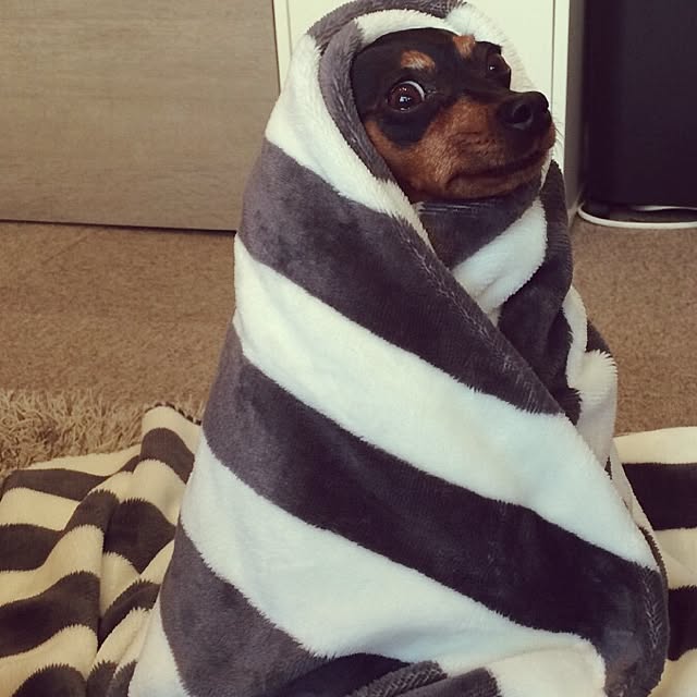 l_heureuxさんの実例写真