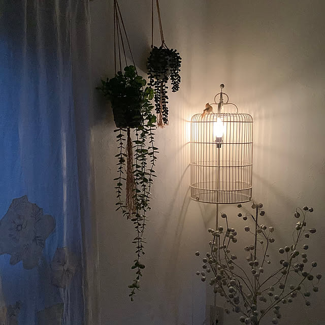 naive.coccoさんの実例写真