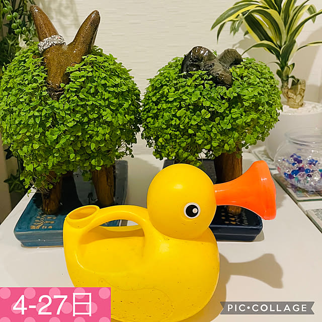 aureaさんの実例写真