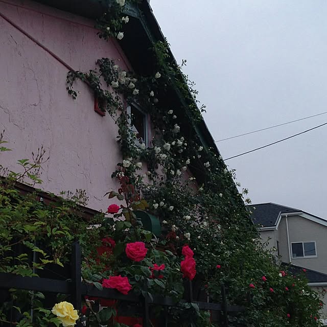 ganamiさんの実例写真