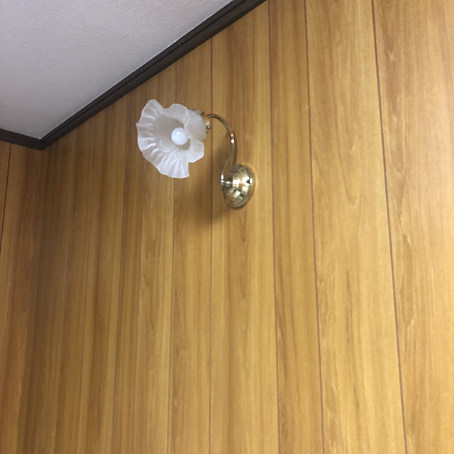 kopohigyuさんの実例写真