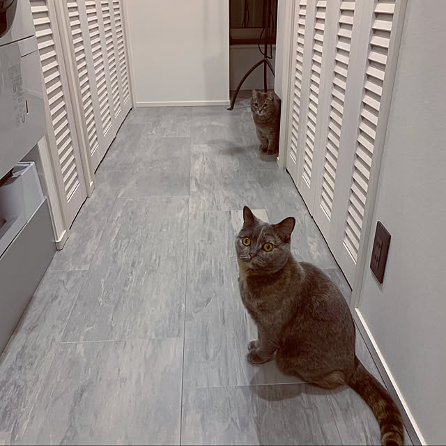 fantaxさんの実例写真