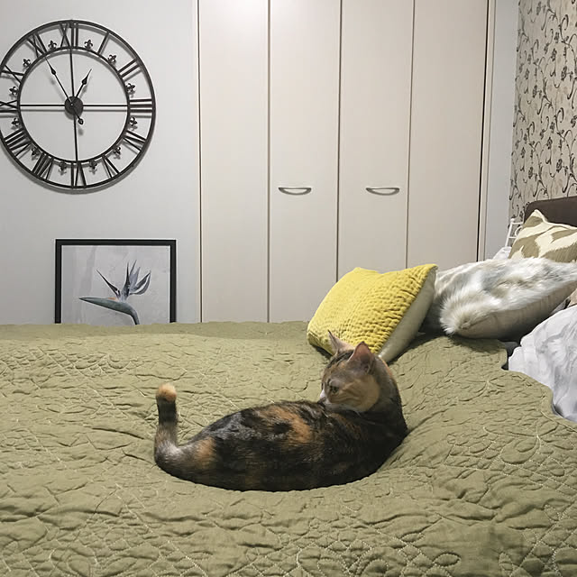 automneさんの実例写真