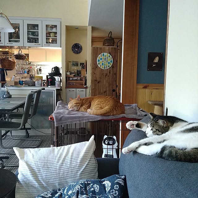 実例写真