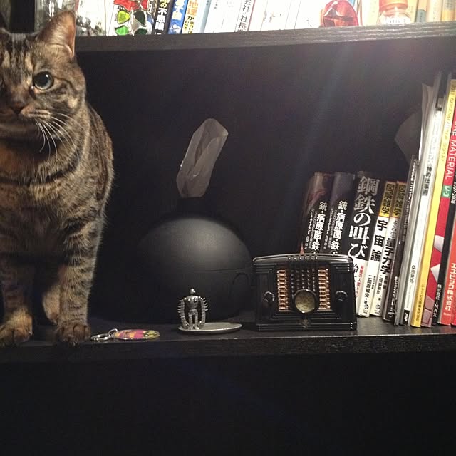 Q-Mさんの実例写真