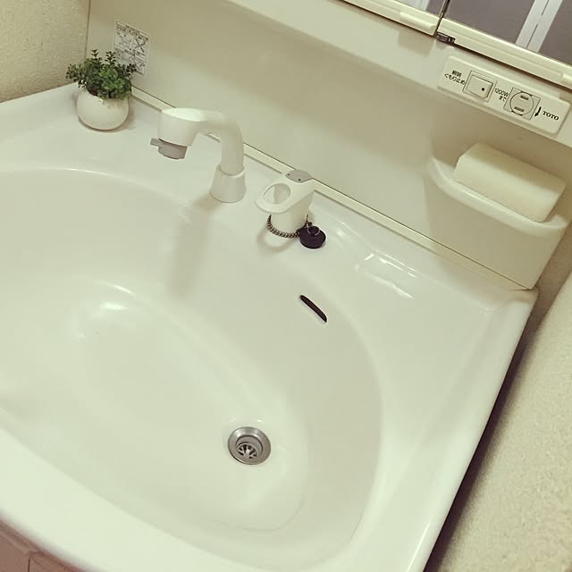 shiroさんの実例写真