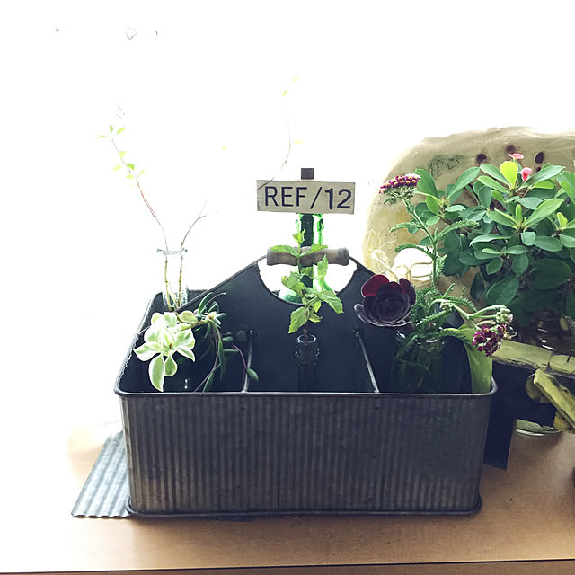 tudukiさんの実例写真