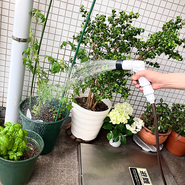 takagi_mizuさんの実例写真
