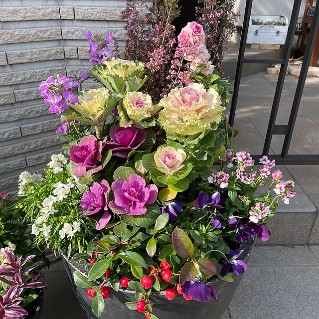 maimai0110さんの部屋