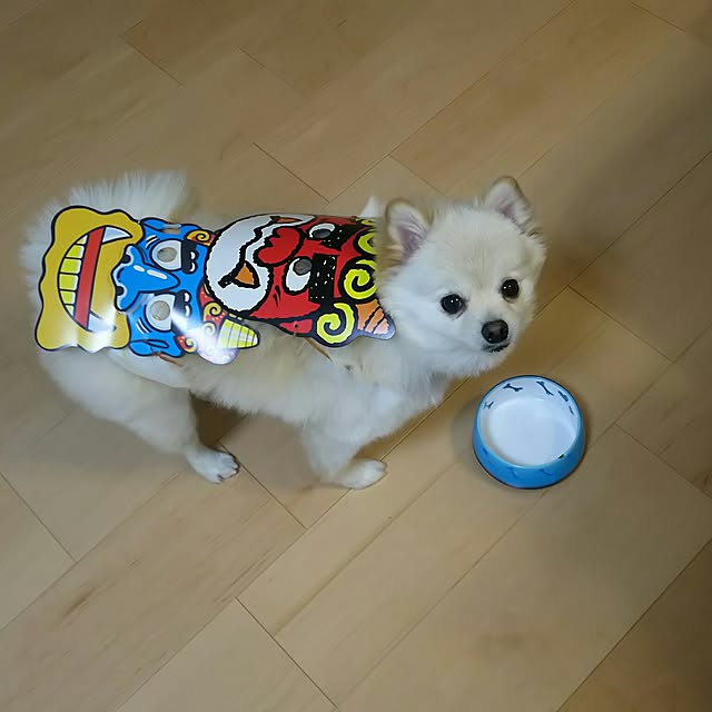 yuki15さんの実例写真