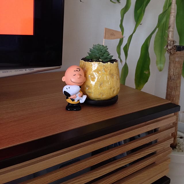 orangepecoさんの実例写真