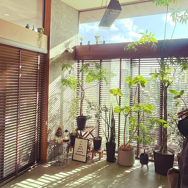 asmさんの実例写真