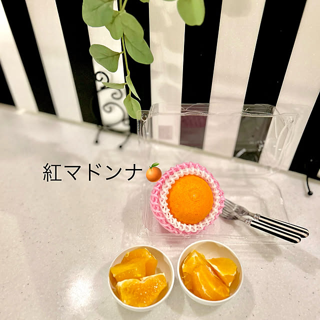 kittyさんの部屋
