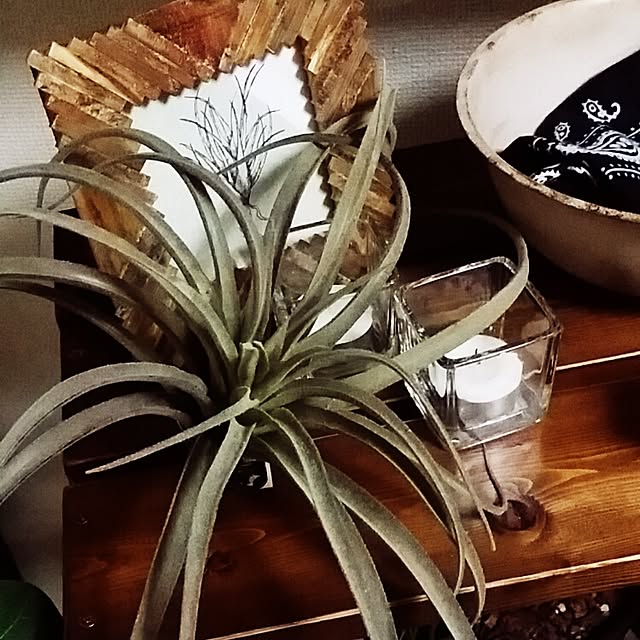 kakinotaneさんの実例写真