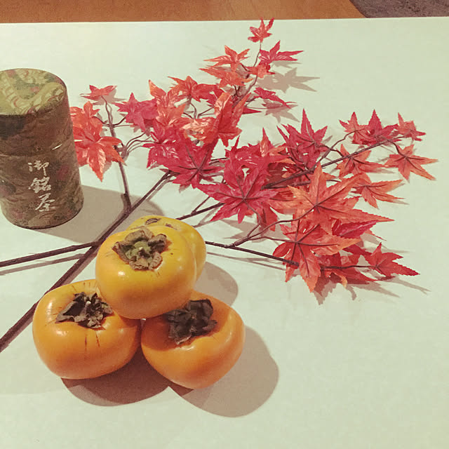kiyoshiroさんの実例写真