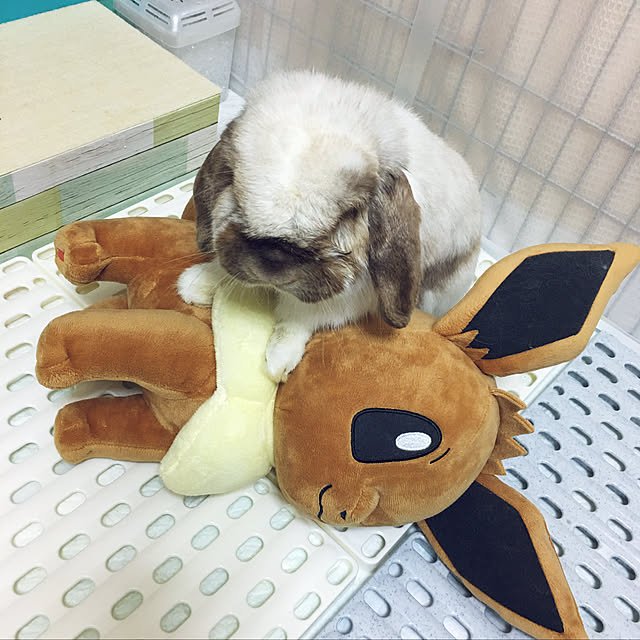 FUさんの実例写真