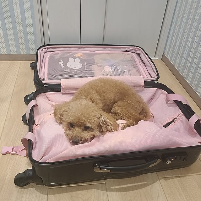 yumi.grandsaisonさんの実例写真