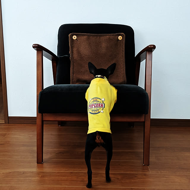 shizuponさんの実例写真