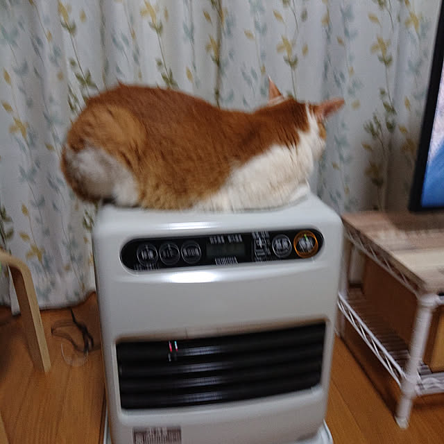 mugi77327732さんの実例写真