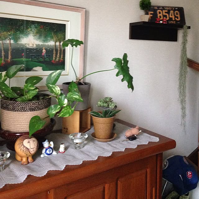 玄関/入り口/植物のインテリア実例 - 2014-11-05 15:04:23
