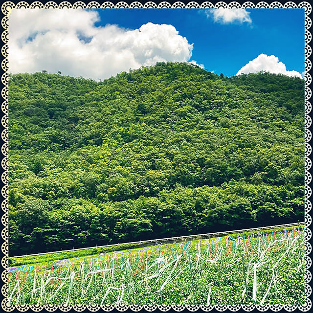 cota2さんの実例写真
