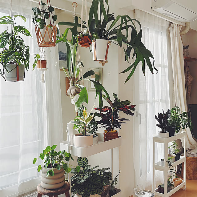 oliveさんの部屋