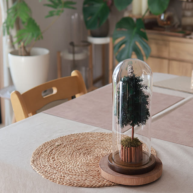 Summerさんの部屋