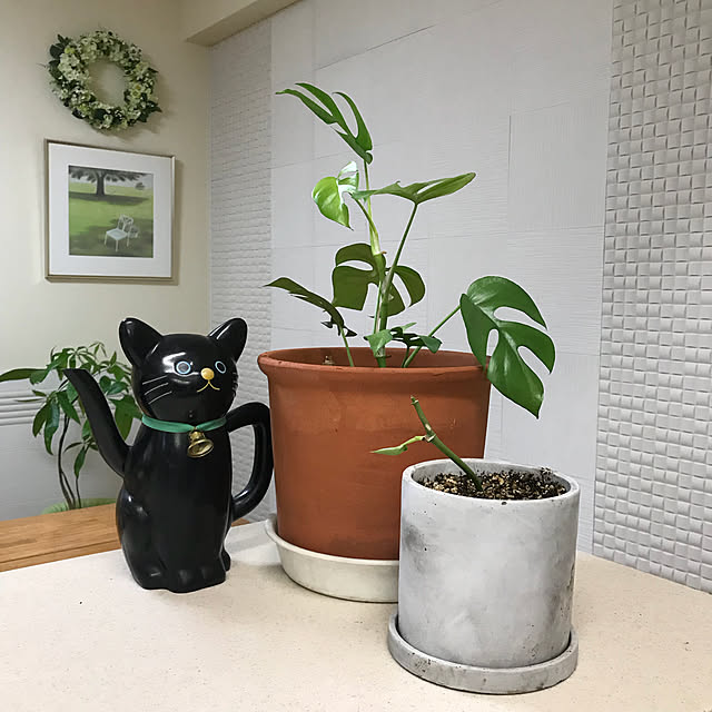 mizucchiさんの実例写真