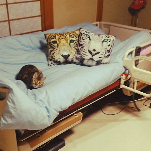 fuku-fuku-fuさんの実例写真