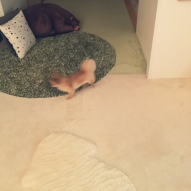 haruhinaさんの実例写真