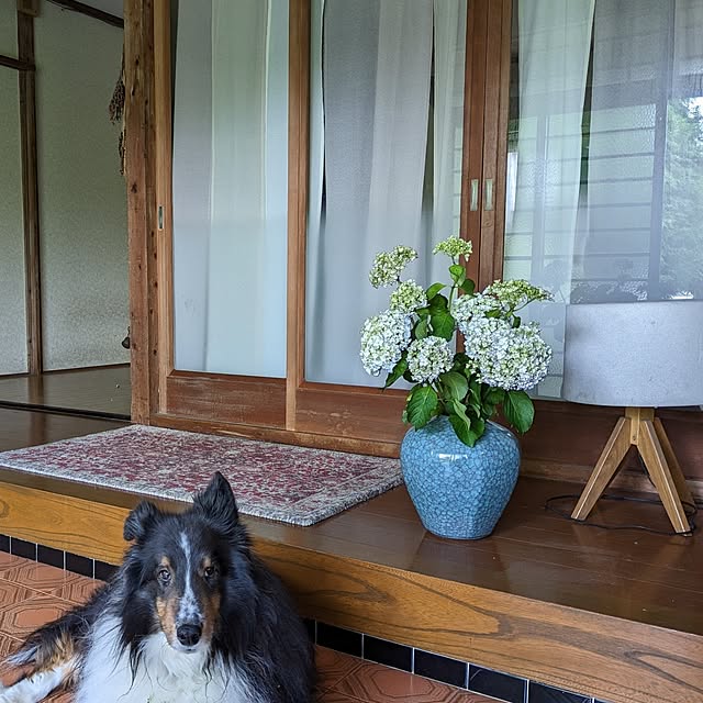 --rnrmm--さんの部屋