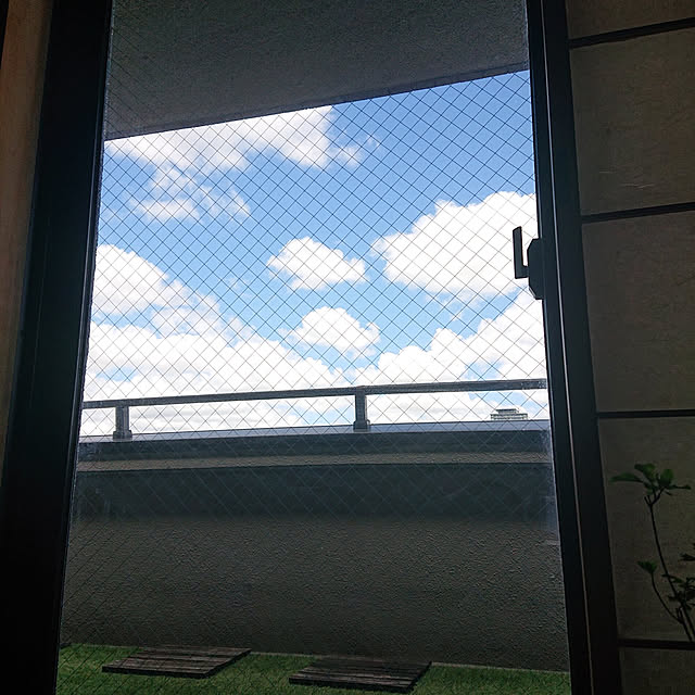 kakkaさんの実例写真
