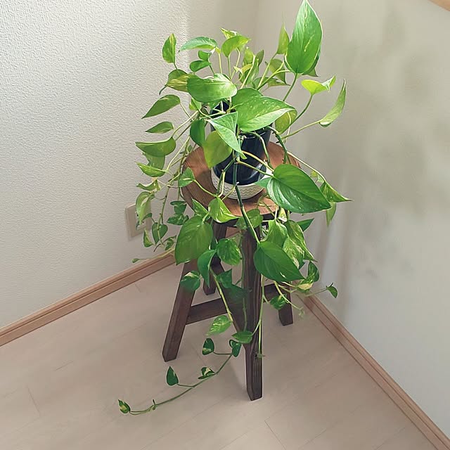 KOHAKUさんの実例写真