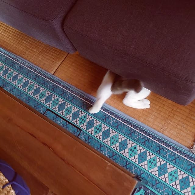 fukuさんの部屋