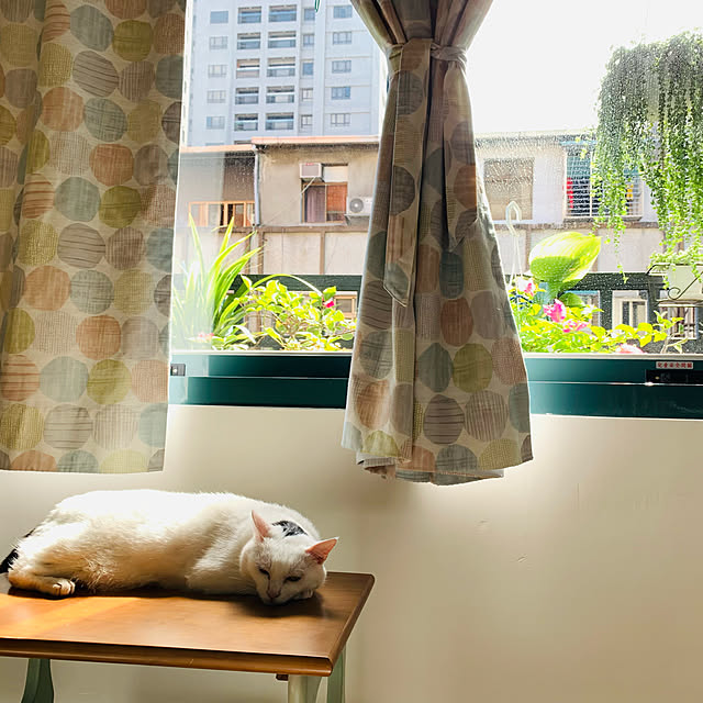 pcu110さんの実例写真